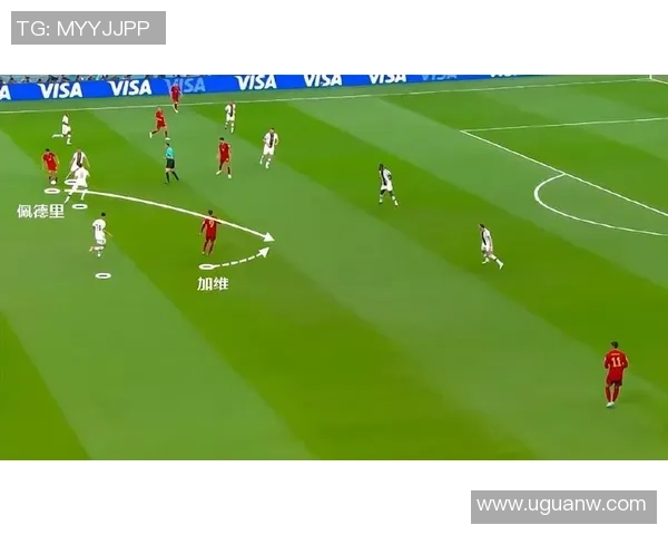 武汉羽毛球队节奏打法深度解析与战术优势探讨